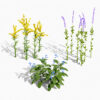 North American Wildflowers 01 North American Wildflowers 01