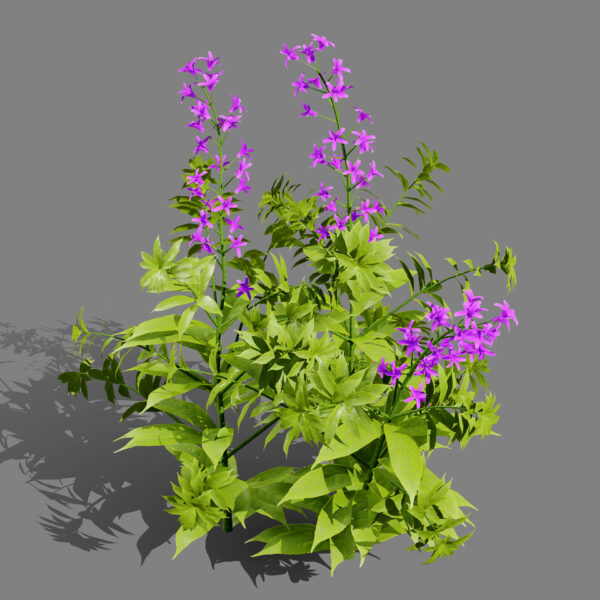 Fireweed 02 - Copy