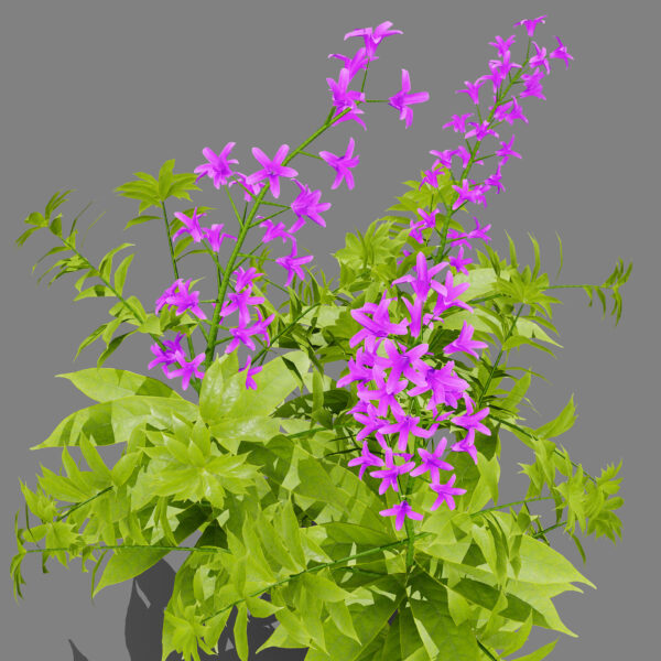 Fireweed z32 - Copy