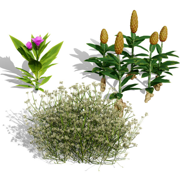 Moroccan Spice Garden (1)