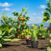 vegetable_pack_close_view_4k Farm and Vegetable Plants Game Ready Foliage 3D pack