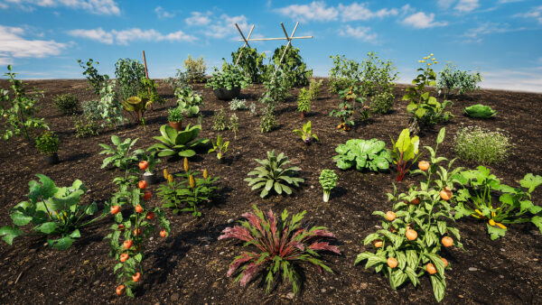 vegetable_plant_pack_environment_4k