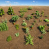 vegetable_plants_pack_environment_4k