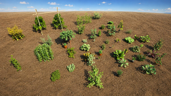 vegetable_plants_pack_environment_4k