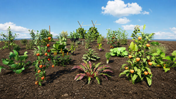 vegetable_plants_pack_ground_environment_4k Farm and Vegetable Plants Game Ready Foliage 3D pack
