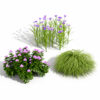 Japanese Garden Plants Collection 02 Japanese Garden Plants Collection 02