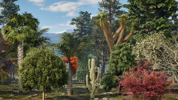 North American Trees Mega 3D Collection