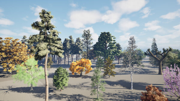 North American Trees Mega 3D Collection