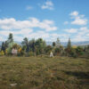 North American Trees Mega 3D Collection