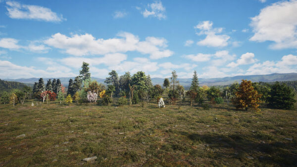 North American Trees Mega 3D Collection
