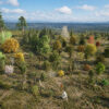 North American Trees Mega 3D Collection