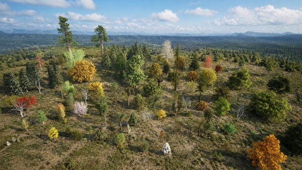 North American Trees Mega 3D Collection
