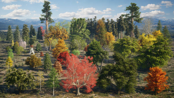 North American Trees Mega 3D Collection
