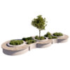 Japanese Garden Plants Collection