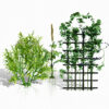 Rare Vegetable Plants Pack 03 Rare Vegetable Plants Pack 03