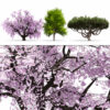 Japanese Ornamental Trees Pack Japanese Ornamental Trees Pack