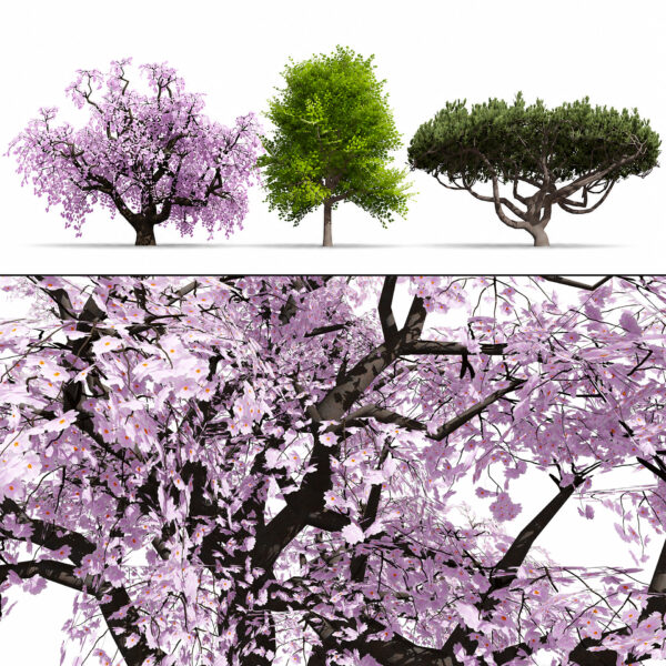 Japanese Ornamental Trees Pack Japanese Ornamental Trees Pack