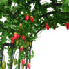 03- Ivy Gourd on arbors (Coccinia grandis) 3